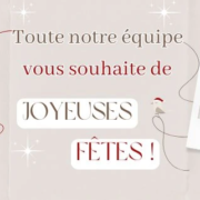 Joyeuses fêtes de fin d'année